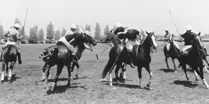 horse polo vintage photo
