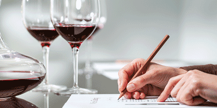wine glasses woman taking notes