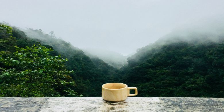 A cup of coffee on a foggy morning
