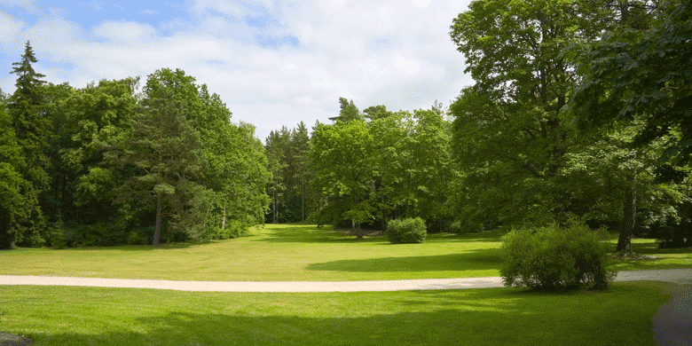 park in summer