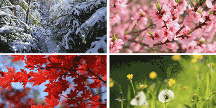 four seasons collage